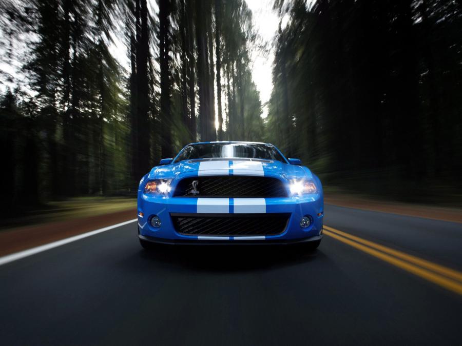  Shelby GT500 2009 года  (фото 11 из 21)
